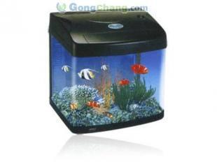 供应生态鱼缸与水族箱配件及技术转让一站式解决方案